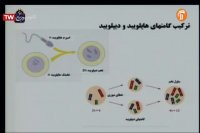 کلاس درس زیست شناسی 2 (فصل 6 ادامه  گفتار 3) پایه یازدهم