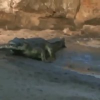 آب خوردن دردسر ساز