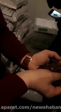 یخچال های نگهداری میوه