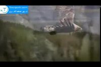 جاذبه های گردشگری اتریش