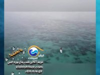 پدل بورد کیش