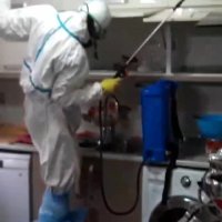 سمپاشی منازل | 09190445812