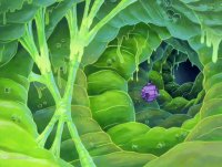 دانلود باب اسفنجی خنده دار - کارتون جذاب باب اسفنجی - باب اسفنجی دوبله فارسی