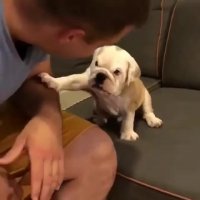 فکر می کنه تقلبیه