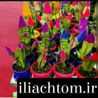 دستگاه ابکاری فانتاکروم/دستگاه مخمل پاش09127692842