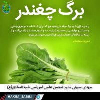 طب اسلامی ضعف عقل و مشکلات مغزی استاد مهدی سبیلی