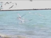 جاذبه های سیستان بلوچستان