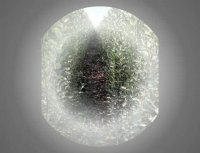 نهالفروشی پارس -فروش نهال میوه -09152157465-09335351573