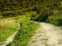 خیلی خیلی کوچک (1) (سنجاقک ها)