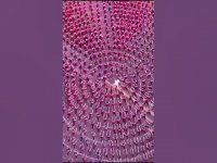 کلیپ شگفت انگیز از تمرینات مدرسه کونگ فو