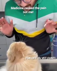 کلیپ خنده دار آمپول زدن گربه