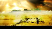 Desert with a dry plant and sun rays time-lapse animation looped background. Free stock footage