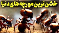 خشن تر از انسان مورچه های بی رحم برده دار!