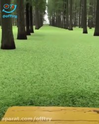 جنگل های Green Water چین