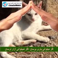 به حیوانات بی پناه كمك كن