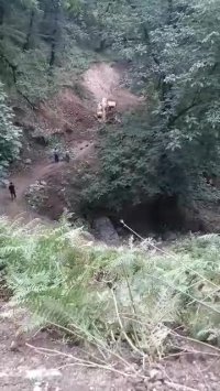 مهار کردن سنگ ها یا تخریب مراتع و جنگل ها؟!