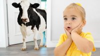 برنامه کودک آلیس - ماجراهای خنده دار با حیوانات