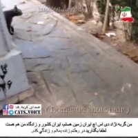 گربه نمادنقشه جغرافیایى ایران است.باگربه هامهربان باشیم