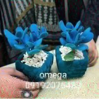 تست دستگاه مخمل پاش در حضور مشتری 09399815524