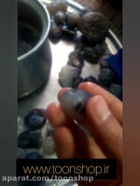 تجربیات من از سفر به شهرستان قائن برای خرید عقیق شجر سیاه معروف به شجر زیرکوه