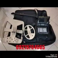 طلایاب گلدن کینگ از نوکتا ترکیه