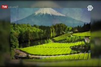 دکتر فرشته سیمری / جراح و متخصص زنانزایمان و نازایی