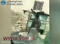 فیلمی تکان دهنده از خشونت پدر باپسر بیمار خود درعربستان