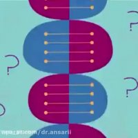 تربیت کودکان