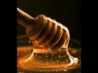 خرید عسل طبیعی وار گانیک