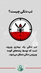 تب دنگی چیست؟