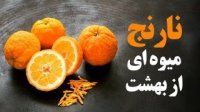 طریقه مصرف و خواص نارنج
