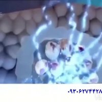 درمان پسوریازیس