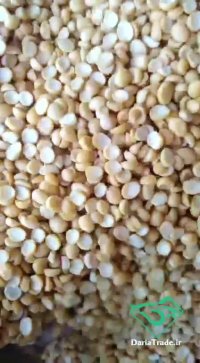 خرید بهترین لپه آذرشهر