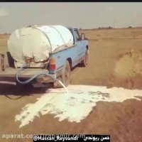 حسن ریوندی: حمله زامبی ها