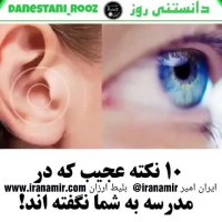 10 نکته عجیب که در مدرسه به شما نگفته اند...!!!