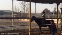 پارسا در سوارکاری پیشتازانی ها