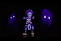 حرکات نمایشی شب تاب