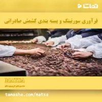 طرح توجیهی فرآوری و بسته بندی کشمش صادراتی