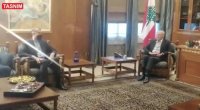دیدار امیرعبداللهیان و رئیس پارلمان لبنان