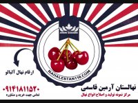 خرید نهال آلبالو 09141811520