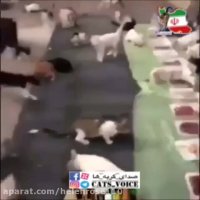 نذر طبیعت كنیم!