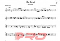 نت سنتور چه کردی امین بانی