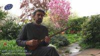 شنبه ها با آوای جاوید، برنامه 1۷، طریق عشق