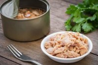 قیمت های نجومی کنسرو ماهی