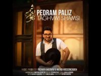 دانلود آهنگ پدرام پالیز به نام تقویم شمسی