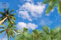 اجرای انواع سقف کناف