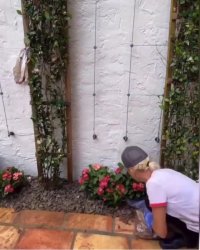 بازسازی دیوار ویلا