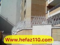 حفاظ شاخ گوزنی 09122285748