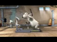 تردمیل و خرس قطبی