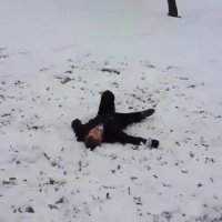 به این میگن یه پرش حرفه ای